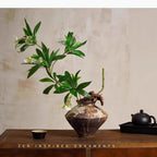 Jarrón de Cerámica Estilo Wabi-Sabi, Decoración de Mesa, Estética Incompleta, Arreglo Floral, Jarrones Florales Retro, Decoración Estética para Habitaciones
